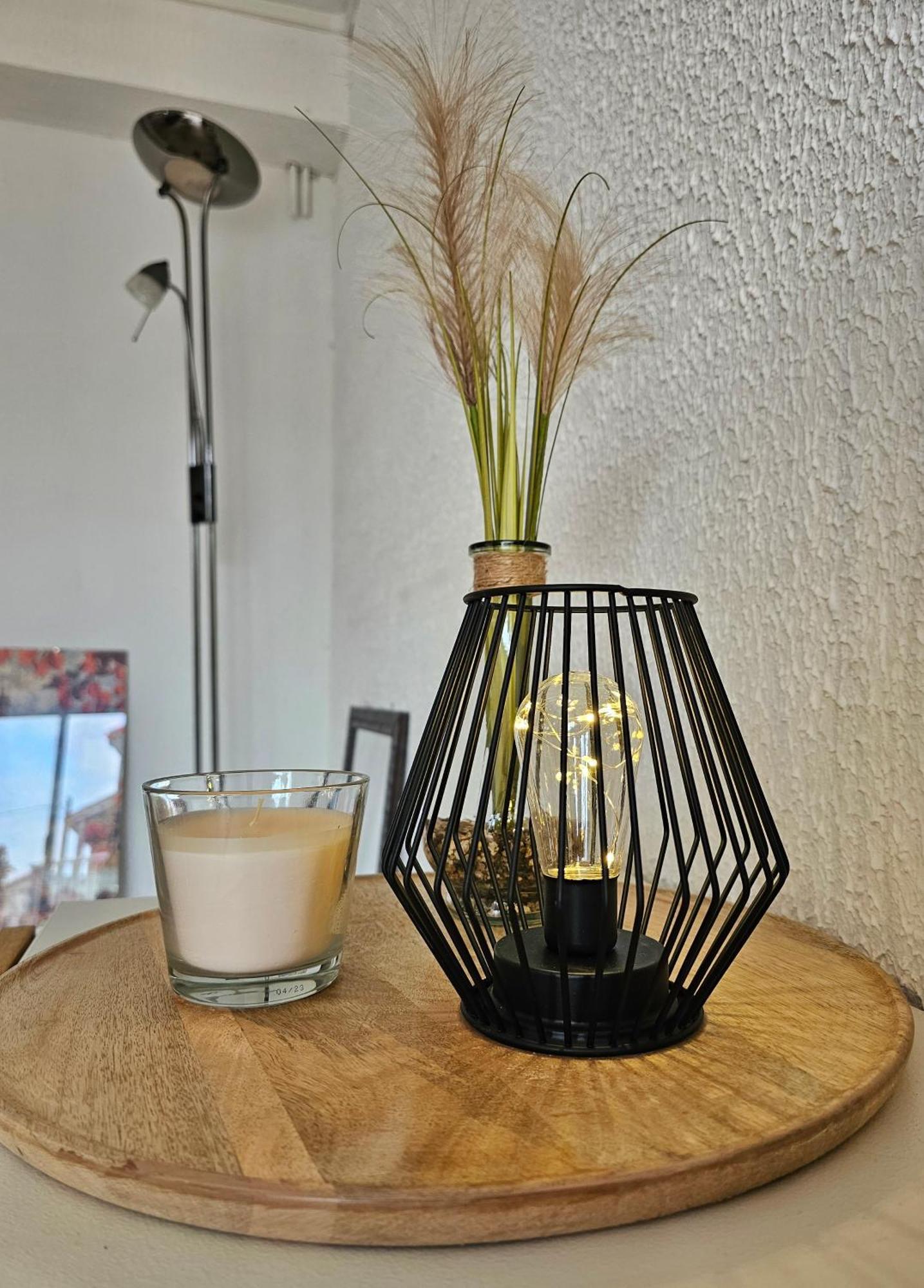 Appartement Lumineux Et Calme En Rez-De-Jardin Castanet-Tolosan Buitenkant foto