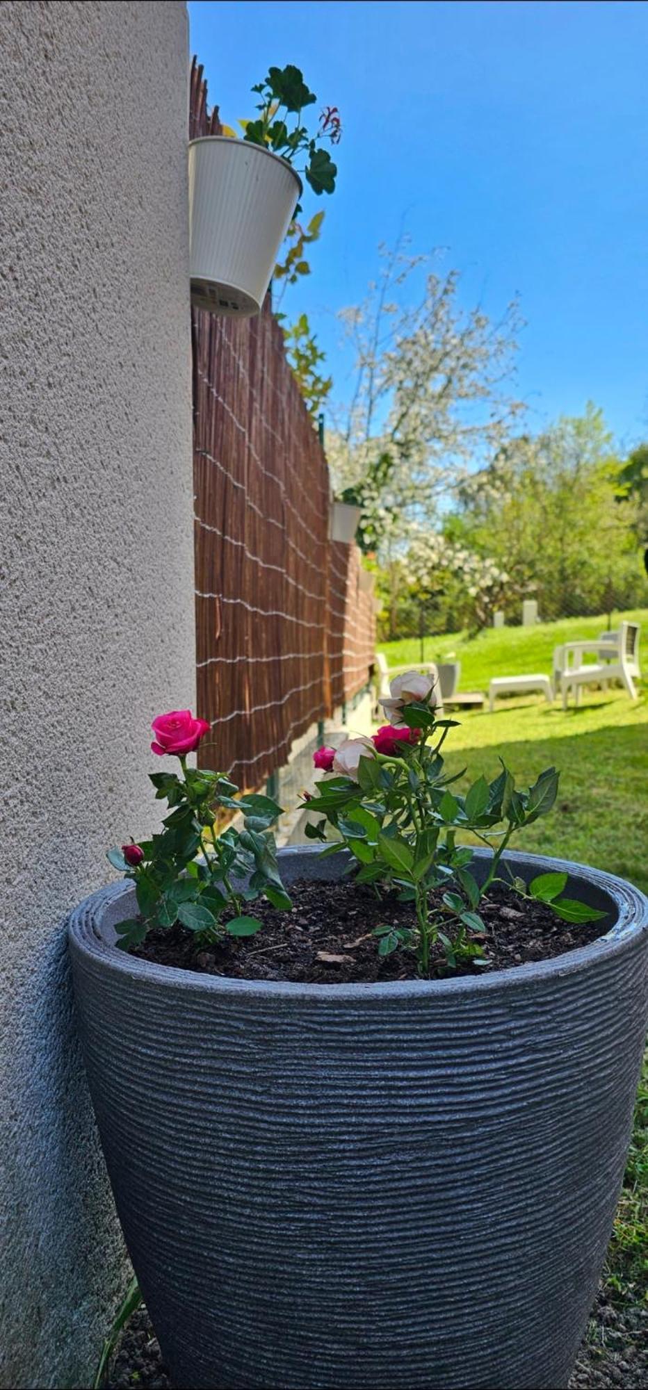 Appartement Lumineux Et Calme En Rez-De-Jardin Castanet-Tolosan Buitenkant foto